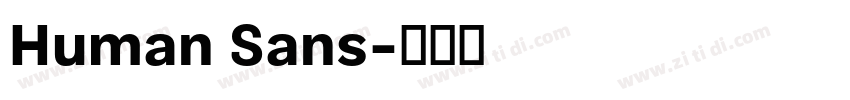 Human Sans字体转换